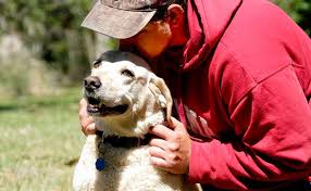 Golden Retriever saves a man from drowning in South Carolina