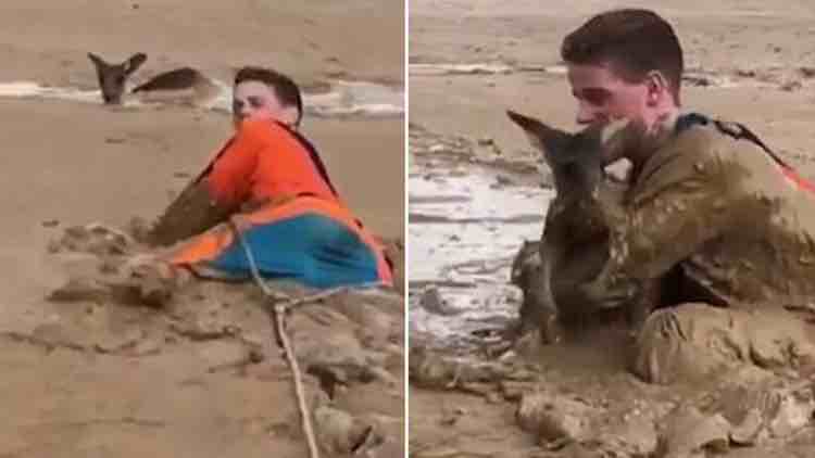 These two teenagers rescued a little kangaroo stuck in neck-deep mud