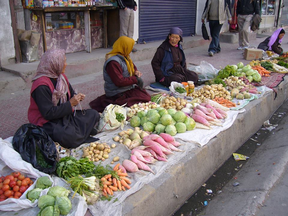 These eco-friendly vegetable cellars are helping famers in remote Indian village to store veggies in harsh winters