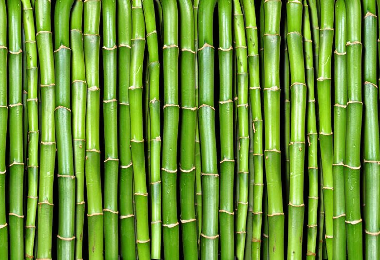 These reusable ‘green’ straws from Andamans could replace plastic straws