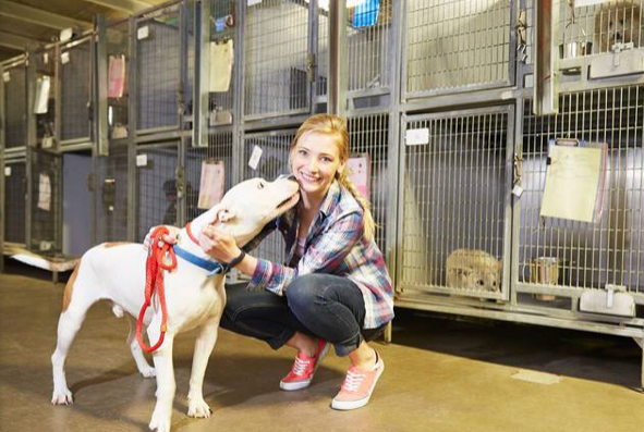 More than 86,000 pets find loving homes during ‘Clear the Shelters’ drive