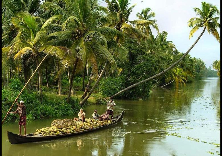 A silver lining to the Kerala floods : Mud deposits from the floods turns soil fertile