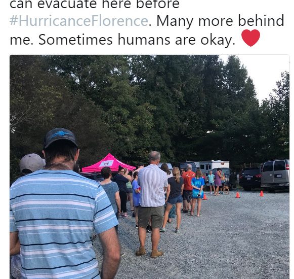 People in Carolinas lined up at local shelters to adopt animals to keep them safe during Hurricane Florence