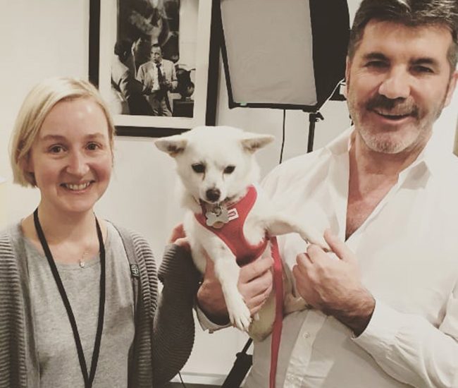 Simon Cowell donates money to help shut down a South Korean dog meat farm