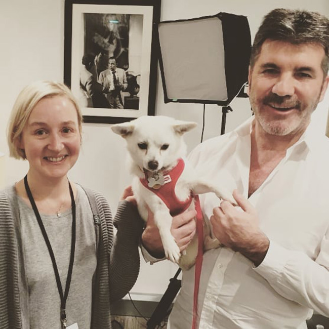 Simon Cowell donates money to help shut down a South Korean dog meat farm