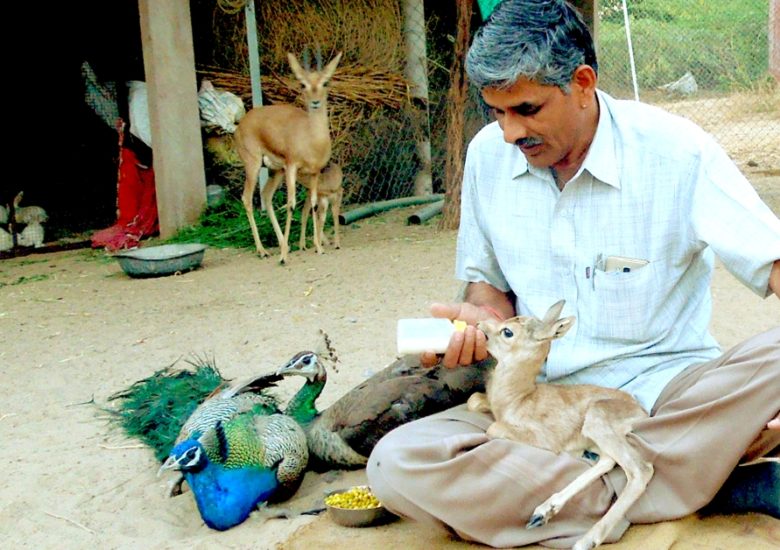 This kind-hearted Indian mechanic has rescued over 1,180 injured wild animals