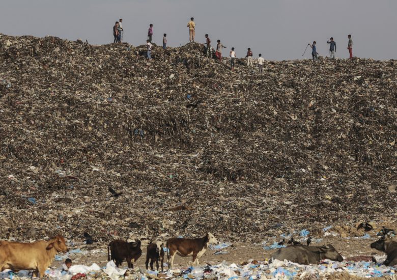 This Indian officer cleared 1.3 million tons of trash from 100 acres in just 6 months