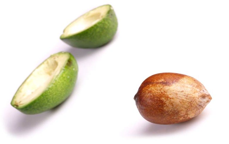 This Mexican company is putting discarded avocado pit to good use