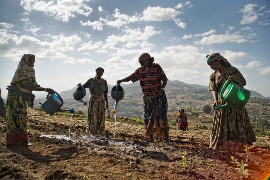 World Bank commits $22.5 billion towards helping Africa fight climate change