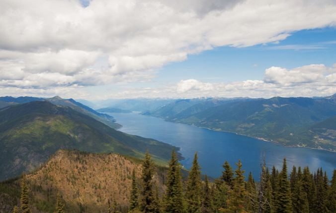 Conservationists buy an extremely rare ‘snow forest’ in Canada to protect it from development