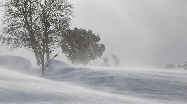 Four kids lost during a blizzard in Alaska found alive – huddled together to protect the youngest!